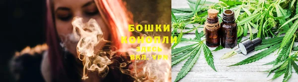 соль ск Пересвет