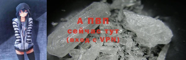 шишки Осинники