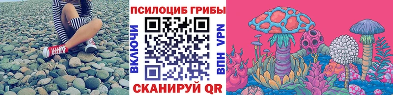 закладка  Богучар  Псилоцибиновые грибы Cubensis 